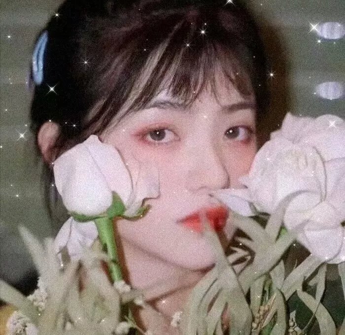 惊变28年